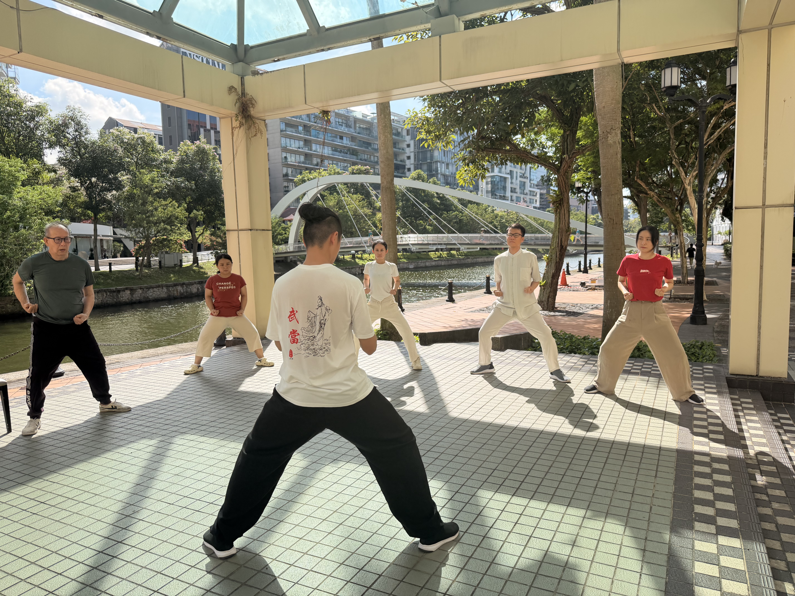 Ba Duan Jin practitioner demonstrating a traditional Qigong movement for health and vitality